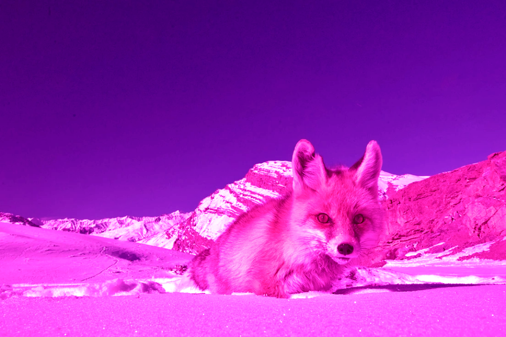 Identity Attack Watch: AD Security News, March 2023