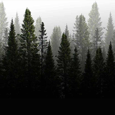 Active Directory Forest Recovery Introduces New OS Provisioning Tool