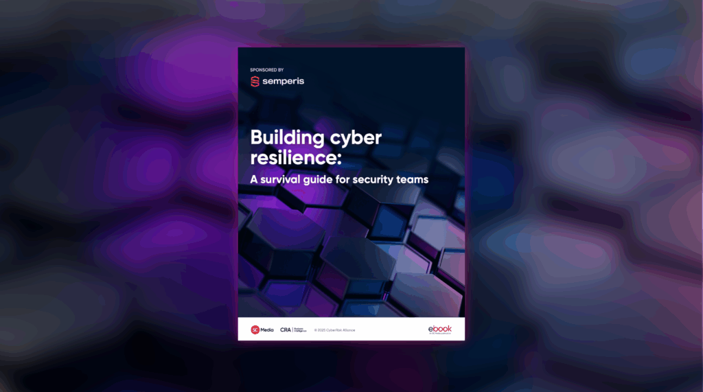 Building cyber resilience